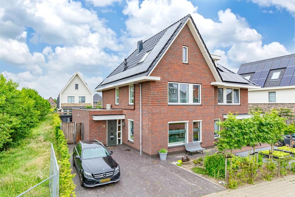 Aankoop 3 Haagbeuk 73 Heiloo